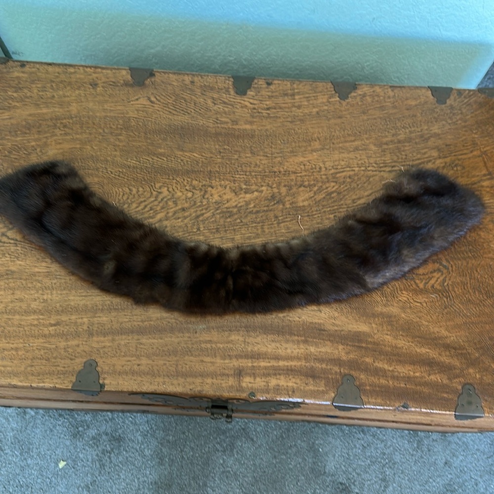 OLD mink collar.  Handed down…